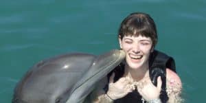 The Untold Truth About Ari Melber's Ex Wife - Drew Grant