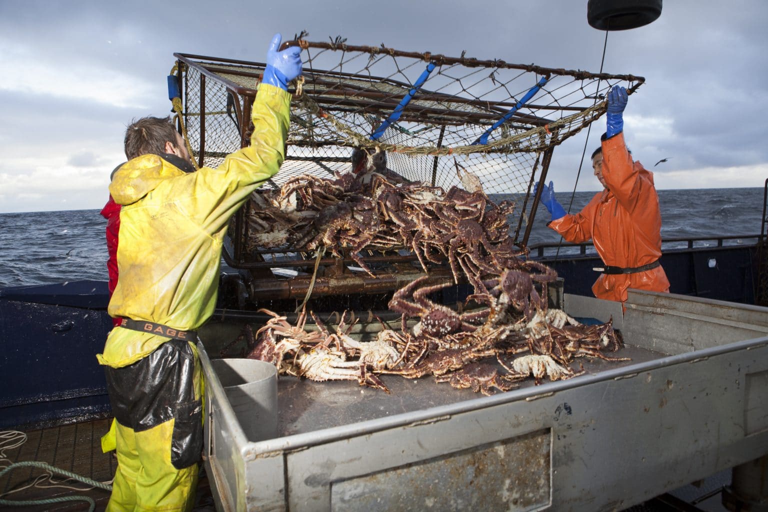 Where Is the Cast of Deadliest Catch Today? What the Captains Are Doing ...