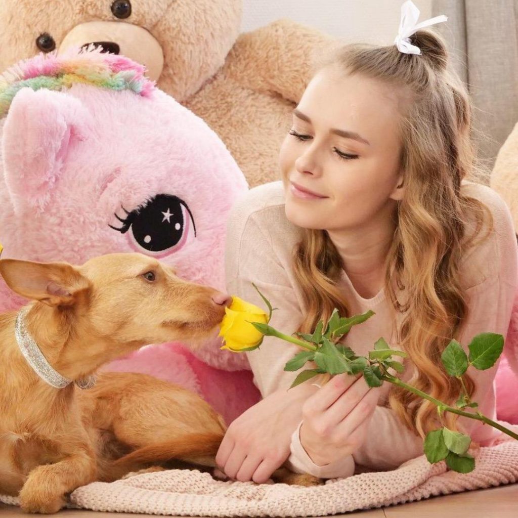 How old is iamSanna? Age, Real Name, Net Worth, Sister, Wiki