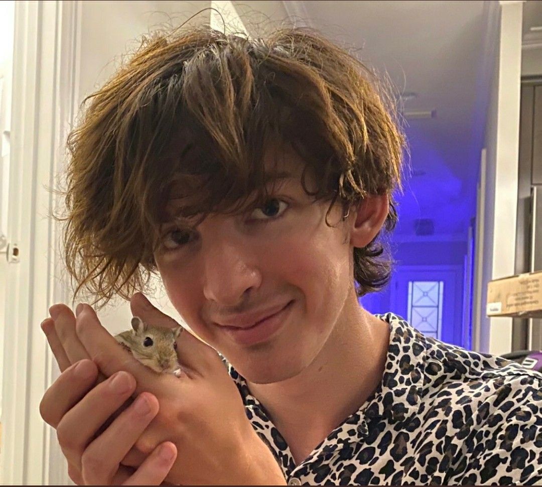 Albert from Flamingo on Youtube Roblox Twitch Streamer's Wiki