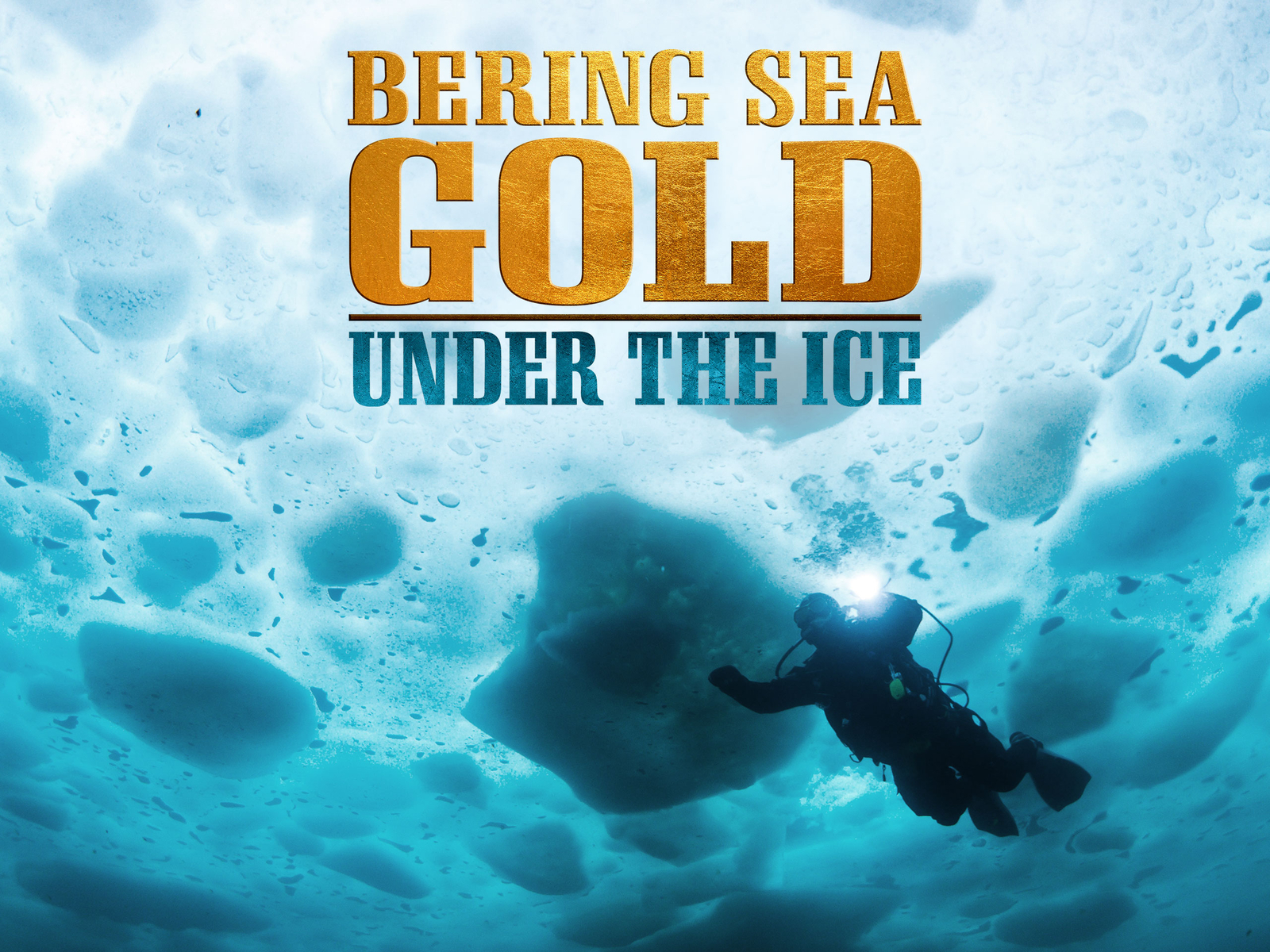 Bering sea gold: under the ice cancelled