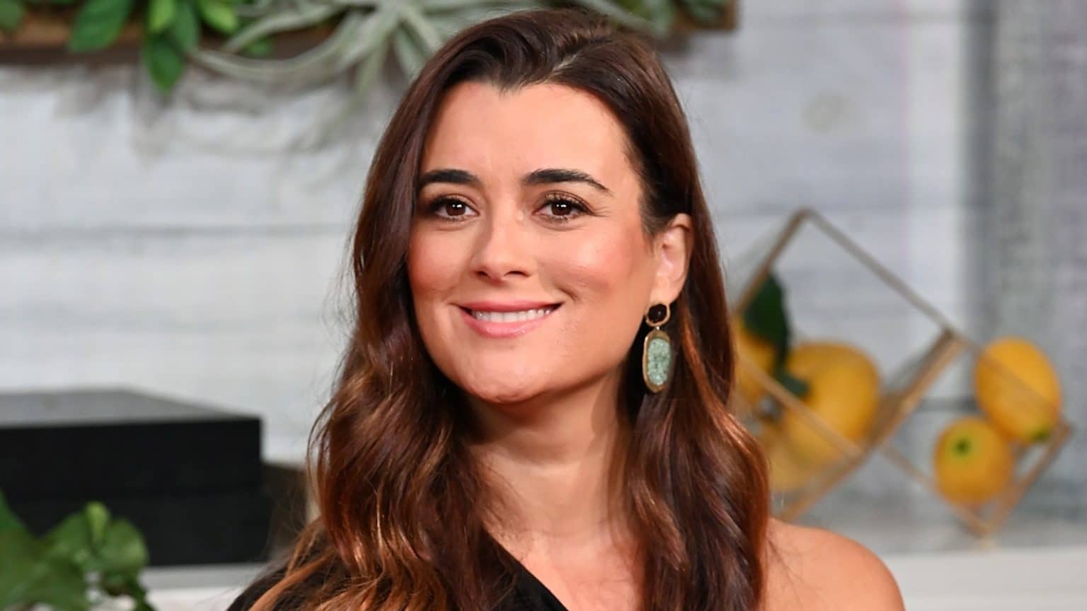 What is Cote de Pablo from NCIS doing now? Kids, Net Worth